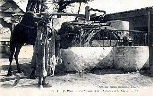 Puits typiques d'AFN - 100